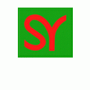 SHIN YANG CONSTRUCTION SDN BHD