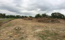 $338k Bebatik kulapis